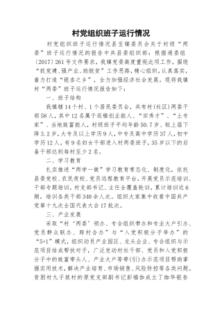村党组织班子运行情况.doc
