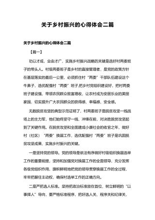 关于乡村振兴的心得体会二篇.docx
