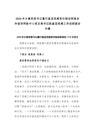 2020年乡镇党委书记履行基层党建责任制述职报告和宣传网络中心党支部书记抓基层党建工作述职报告合编.docx