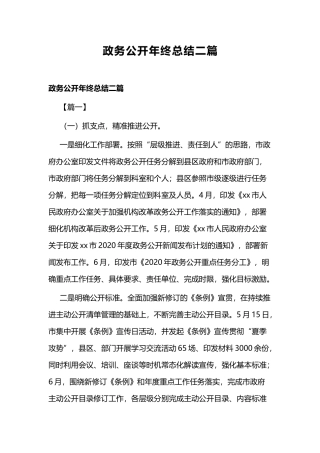 政务公开年终总结二篇.docx