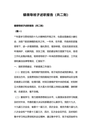 镇领导班子述职报告（共二则）.docx