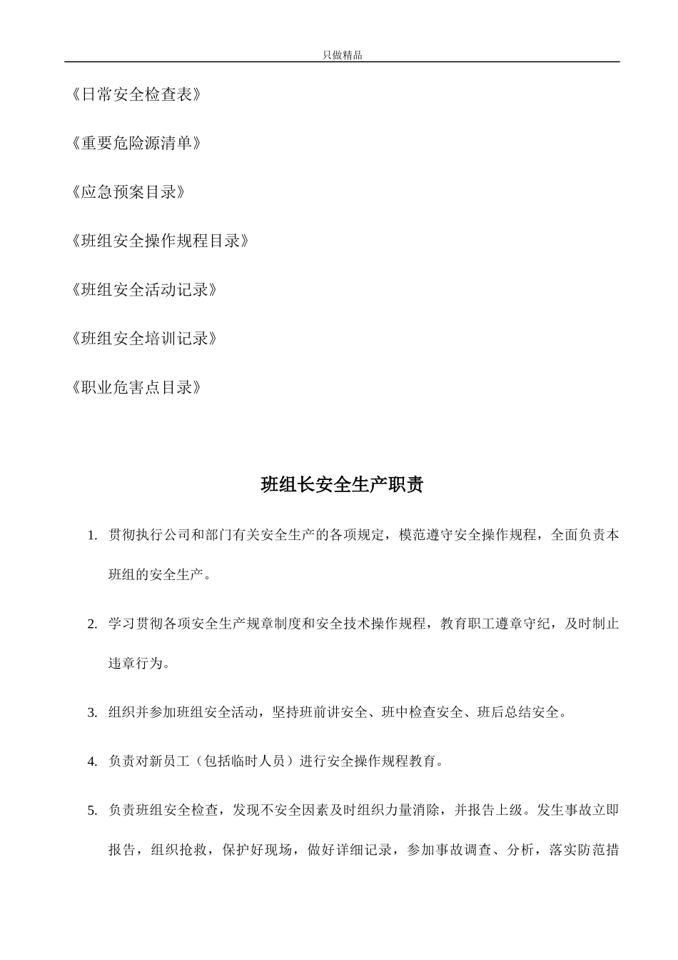 公司车间班组安全管理标准化资料.docx_第2页