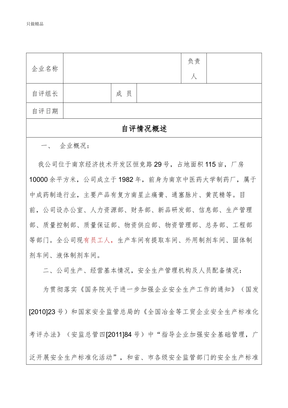 公司企业安全生产标准化自评报告.docx_第2页