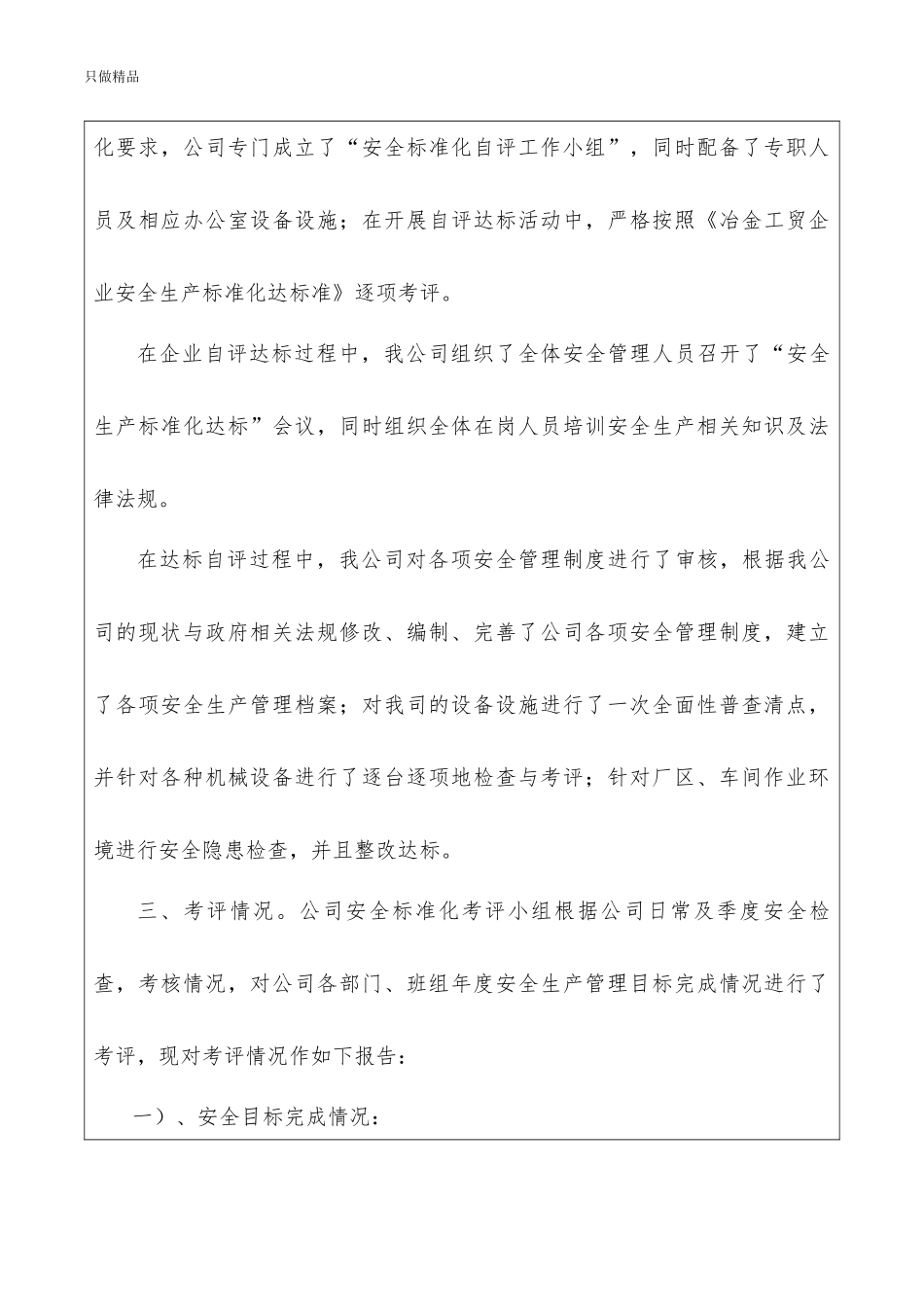 公司企业安全生产标准化自评报告.docx_第3页