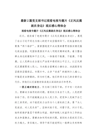 最新2篇党支部书记观看电视专题片《正风反腐就在身边》观后感心得体会.docx