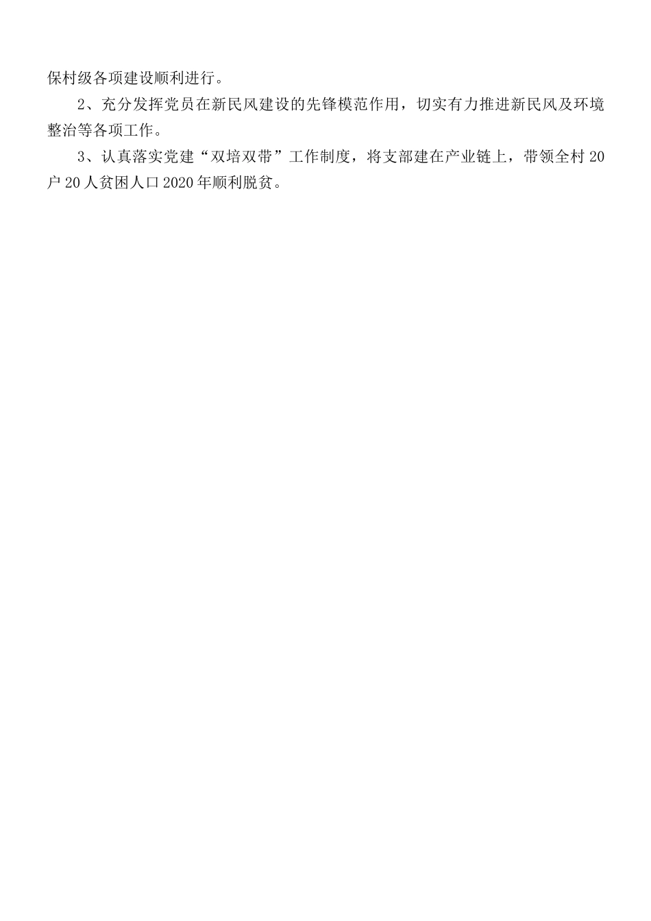 202×年党支部工作计划.docx_第2页