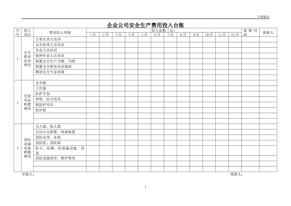 企业公司安全生产费用投入台账.docx_第1页