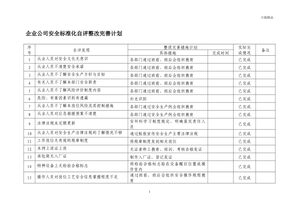 企业公司安全标准化自评整改完善计划.docx_第1页