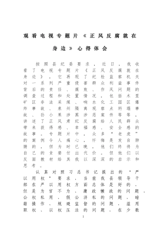 县级领导干部观看反腐电视专题片《正风反腐就在身边》心得体会研讨交流发言.doc