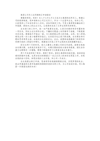 集团公司员工试用期转正申请报告.docx