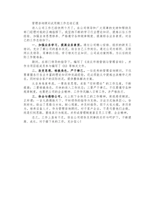 管理咨询顾问试用期工作总结汇报.docx