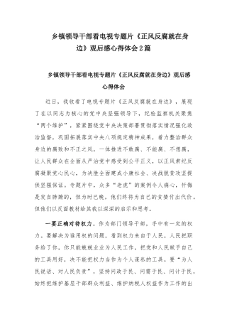 乡镇领导干部看电视专题片《正风反腐就在身边》观后感心得体会2篇.docx
