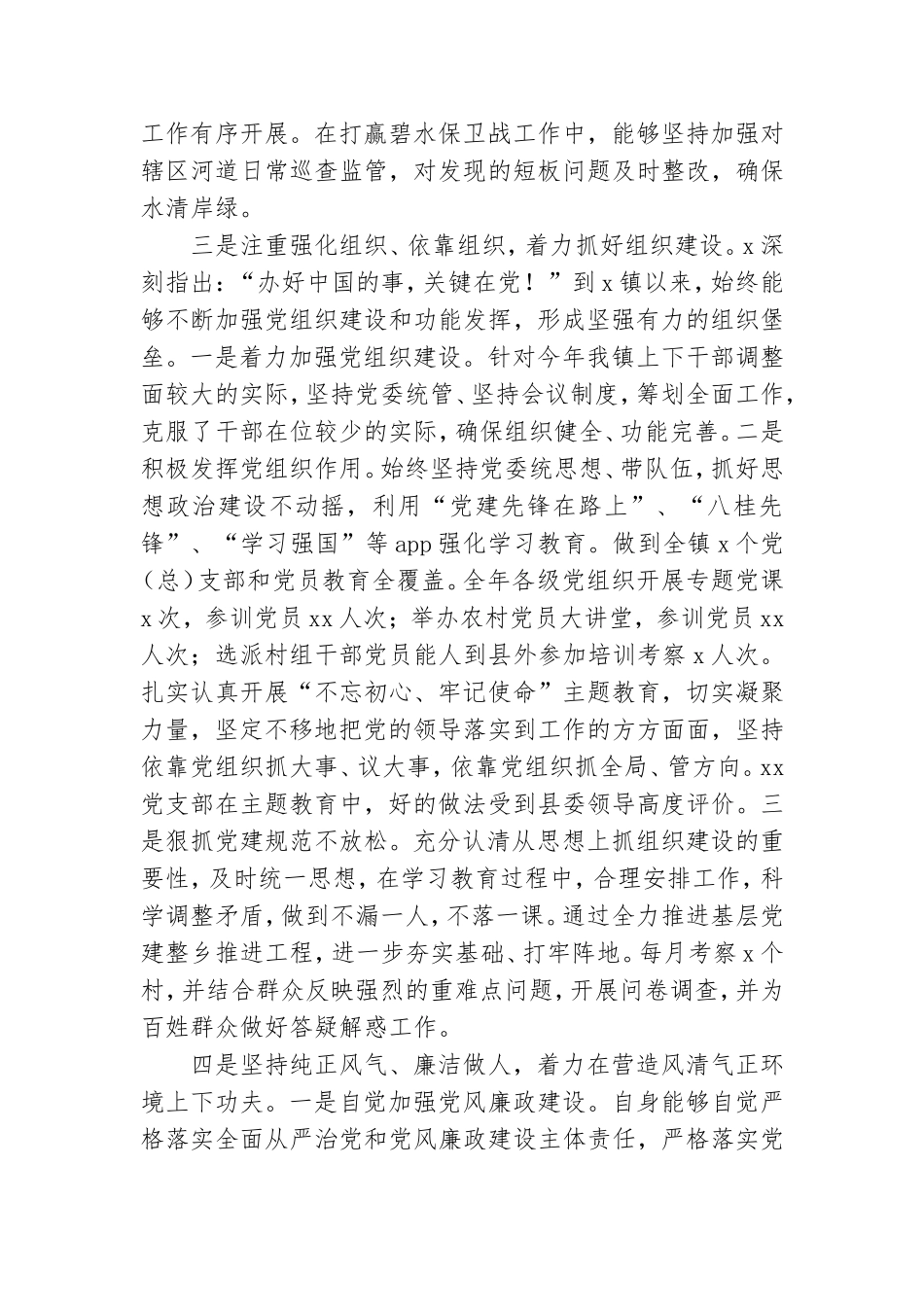 新任乡镇党委书记2019年度述职述廉报告.doc_第3页
