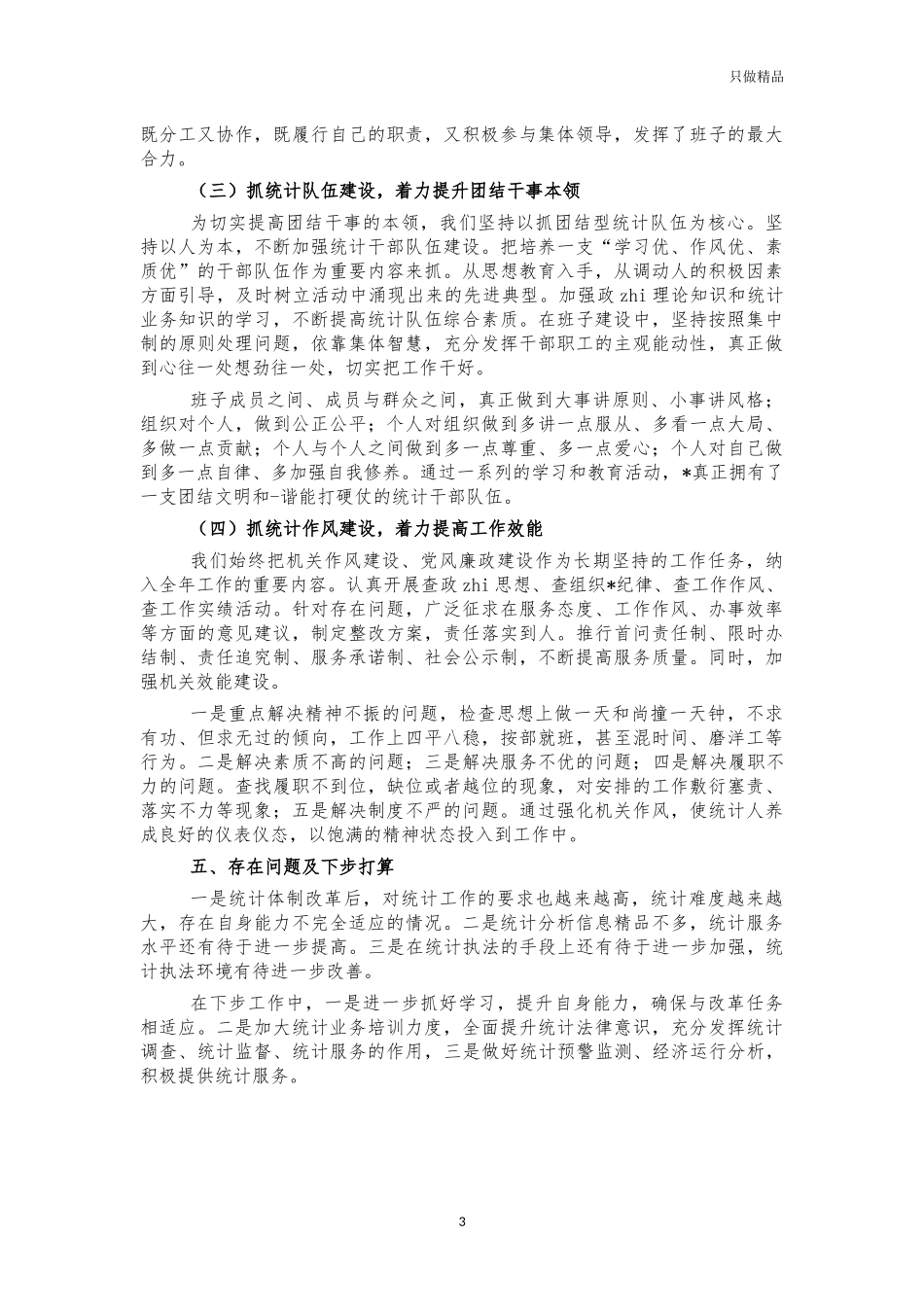 统计2021年工作总结报告.docx_第3页
