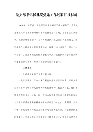 党支部书记抓基层党建工作述职汇报材料.docx