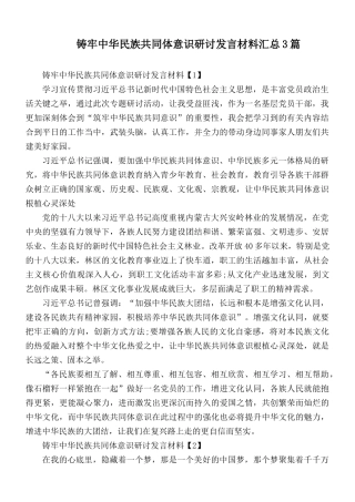 铸牢中华民族共同体意识研讨发言材料汇总3篇.docx
