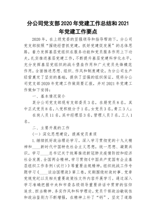 分公司党支部2020年党建工作总结和2021年党建工作要点.doc