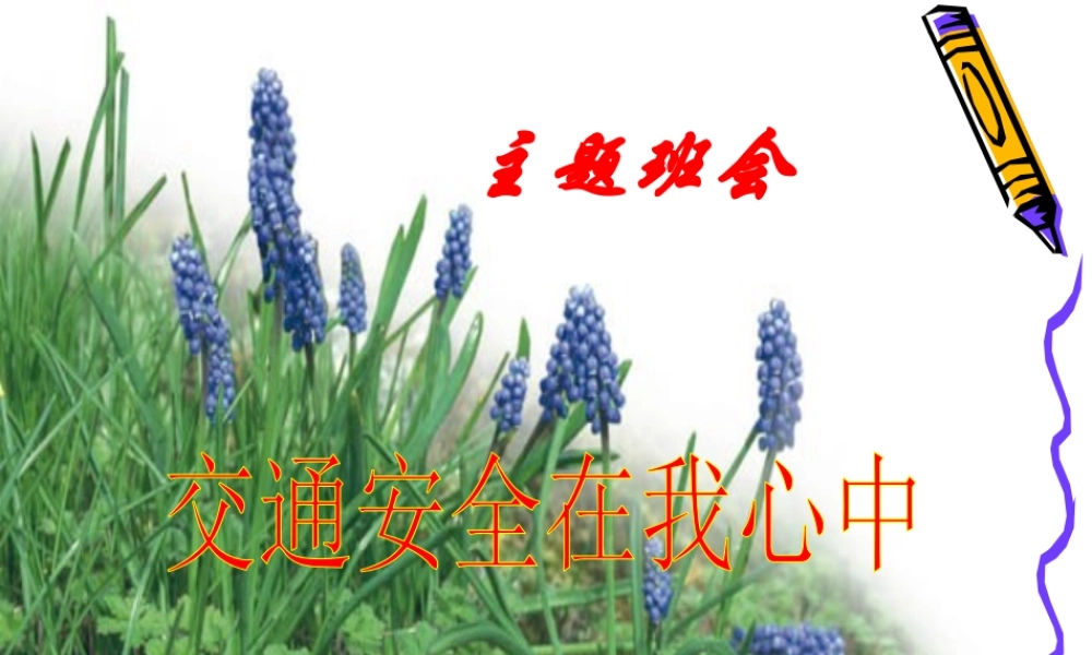最新中小学生交通安全主题班会课件教学设计：交通安全在我心中ppt.pptx