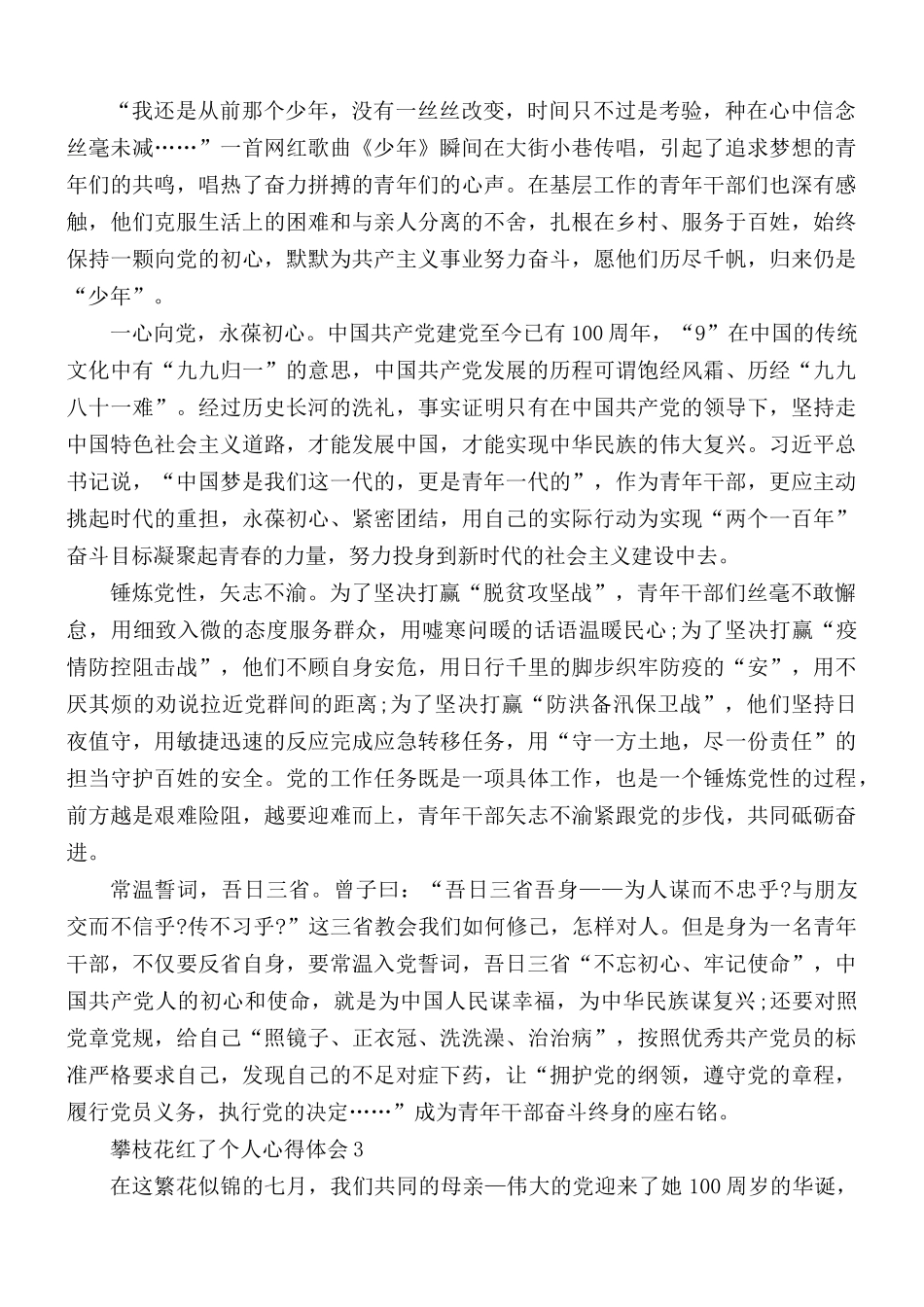 攀枝花红了个人心得合集5篇.docx_第2页