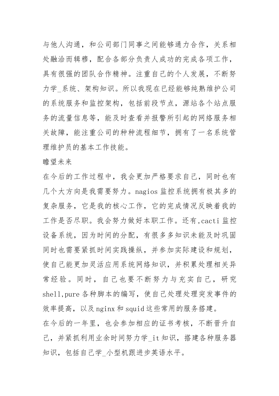 2021it转正工作总结工作总结.docx_第2页