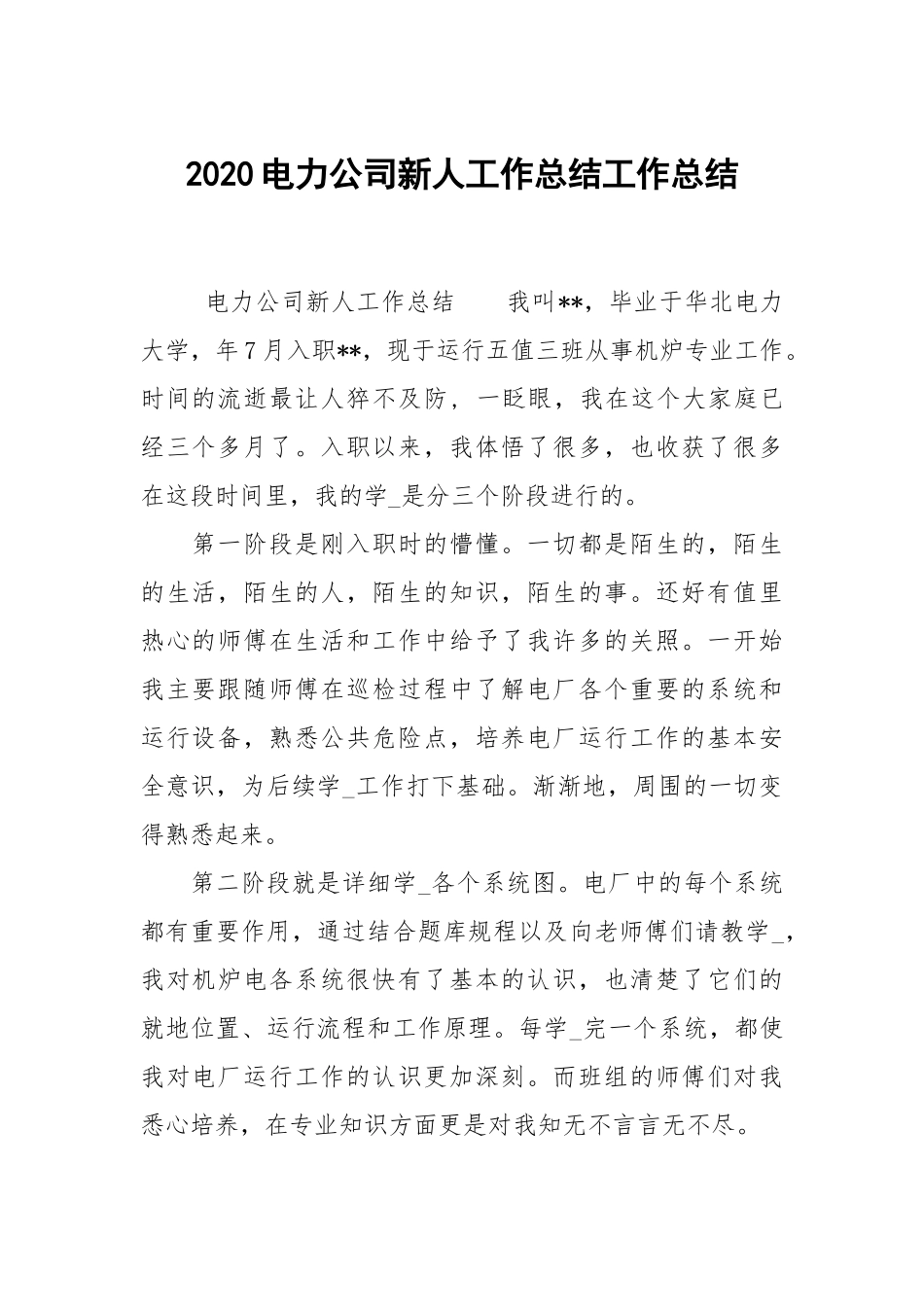 2021电力公司新人工作总结工作总结.docx_第1页