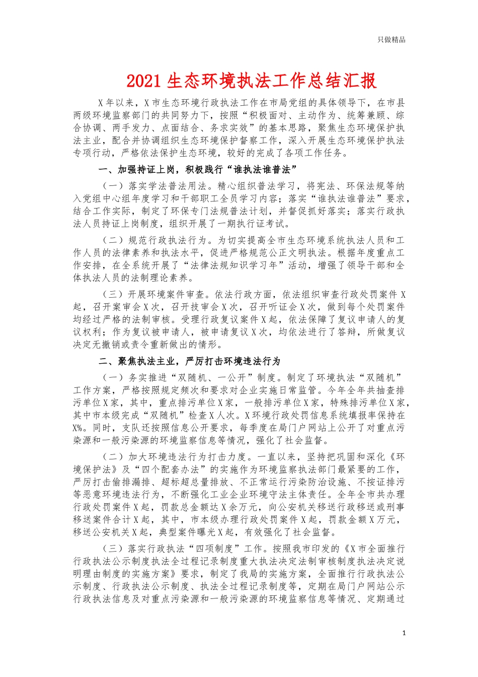 2021生态环境执法工作总结汇报.docx_第1页