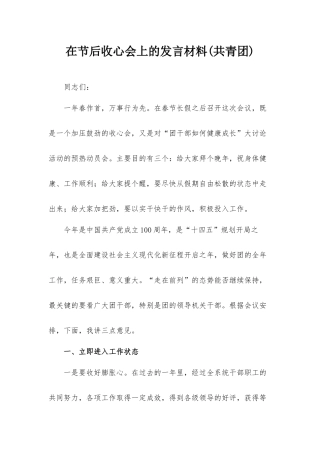 在节后收心会上的发言材料(共青团).docx
