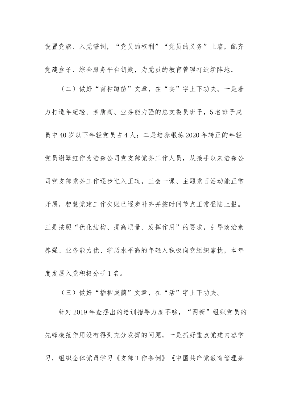 两新组织党总支书记抓基层党建工作述职汇报材料.docx_第2页