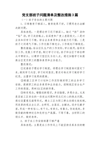 党支部班子问题清单及整改措施3篇.doc