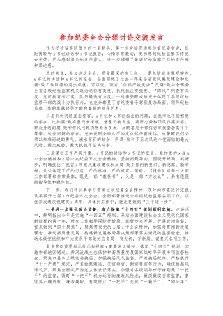 参加纪委全会分组讨论交流发言.docx