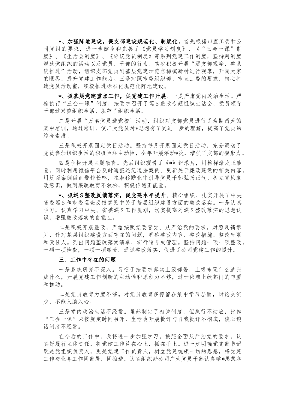公司支部书记党建述职报告.docx_第2页