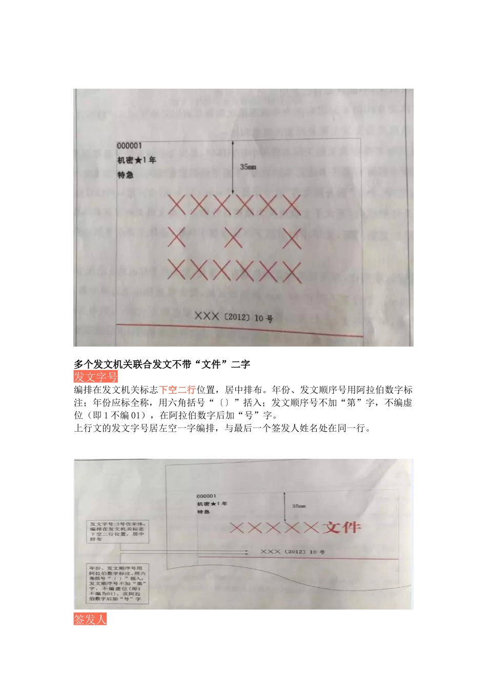 公文格式.docx_第3页