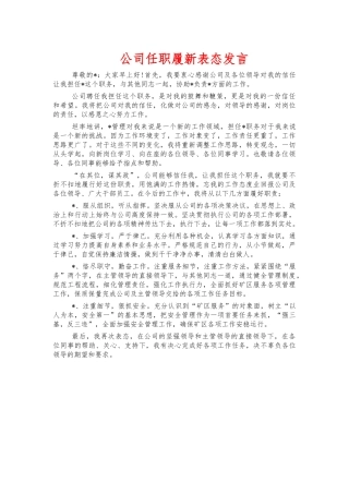 公司任职履新表态发言.docx