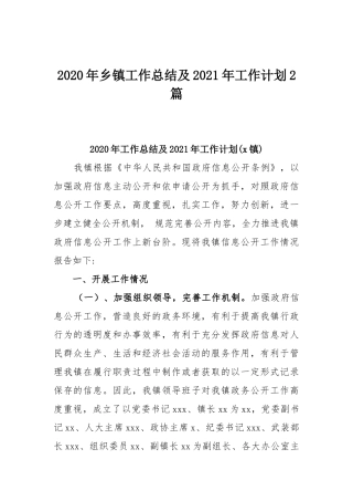 2020年乡镇工作总结及2021年工作计划2篇.docx
