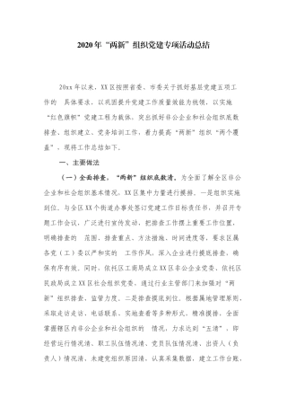 (写作交流）2020年“两新”组织党建专项活动总结.docx
