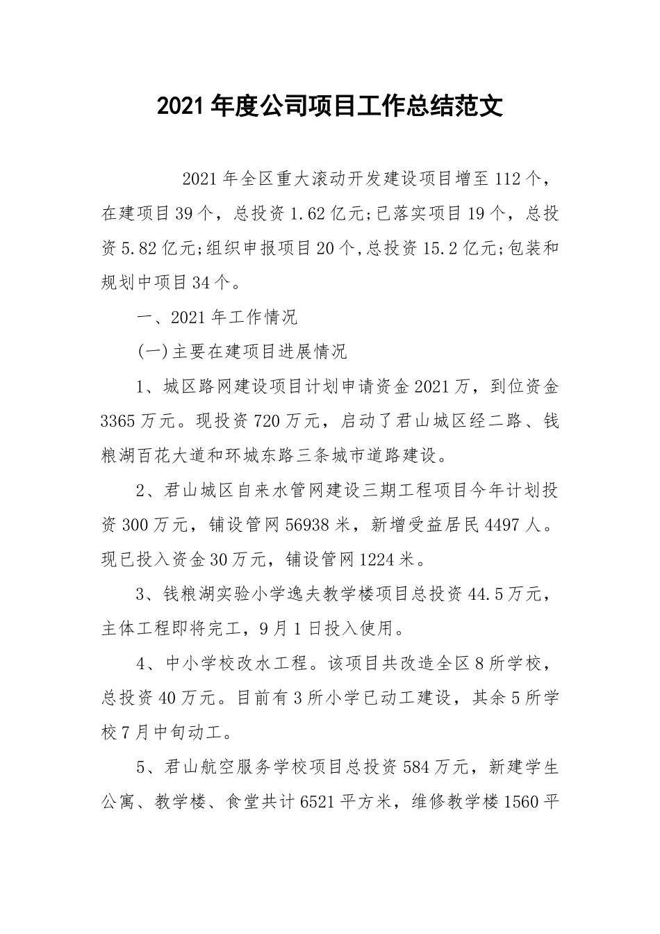 2021年度公司项目工作总结范文.docx_第1页