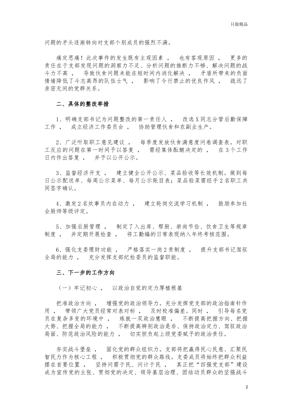 xzjphb支部问责检讨书汇报.docx_第2页