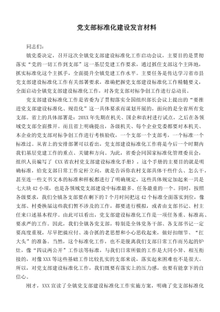党支部标准化建设发言材料.docx