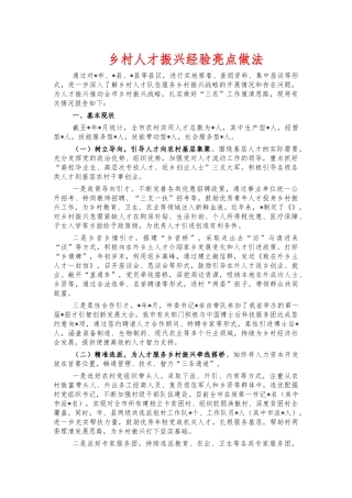 乡村人才振兴经验亮点做法.docx