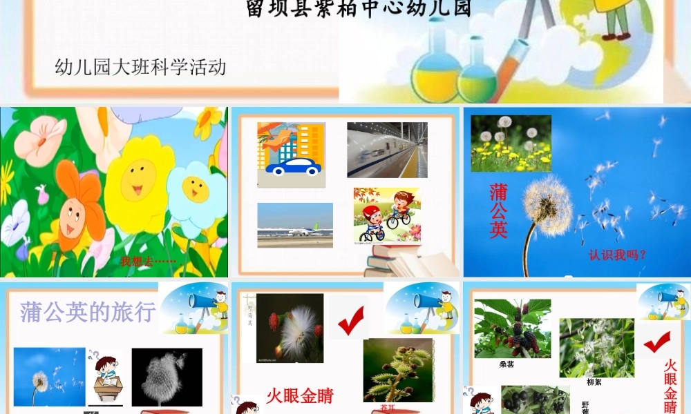 大班科学《靠风力传播的种子》微课件.pptx