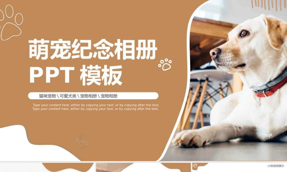 可爱萌宠萌猫萌狗纪念相册PPT模板.pptx