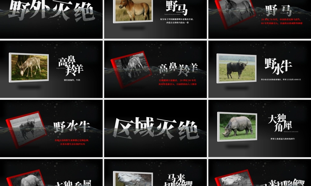 中国那些动物已经灭绝了-灭绝动物图鉴PPT课件（带内容）.pptx