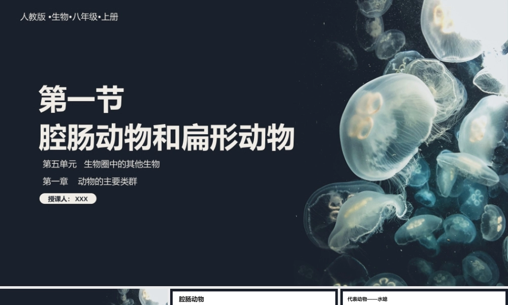 人教生物八年级上册《腔肠动物和扁形动物》PPT课件（带内容）.pptx