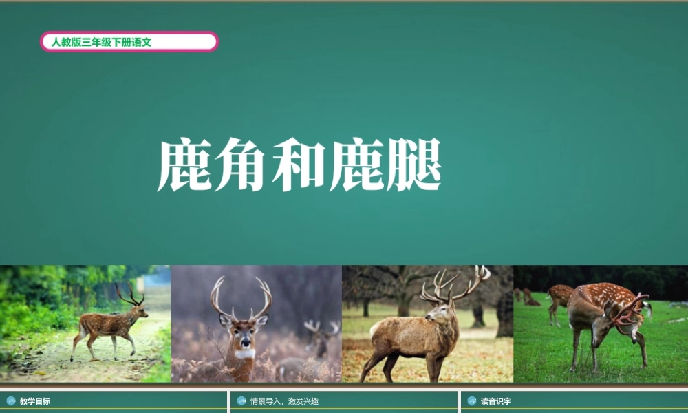 人教版三年级下册语文《鹿角和鹿腿》PPT课件（带内容）.pptx