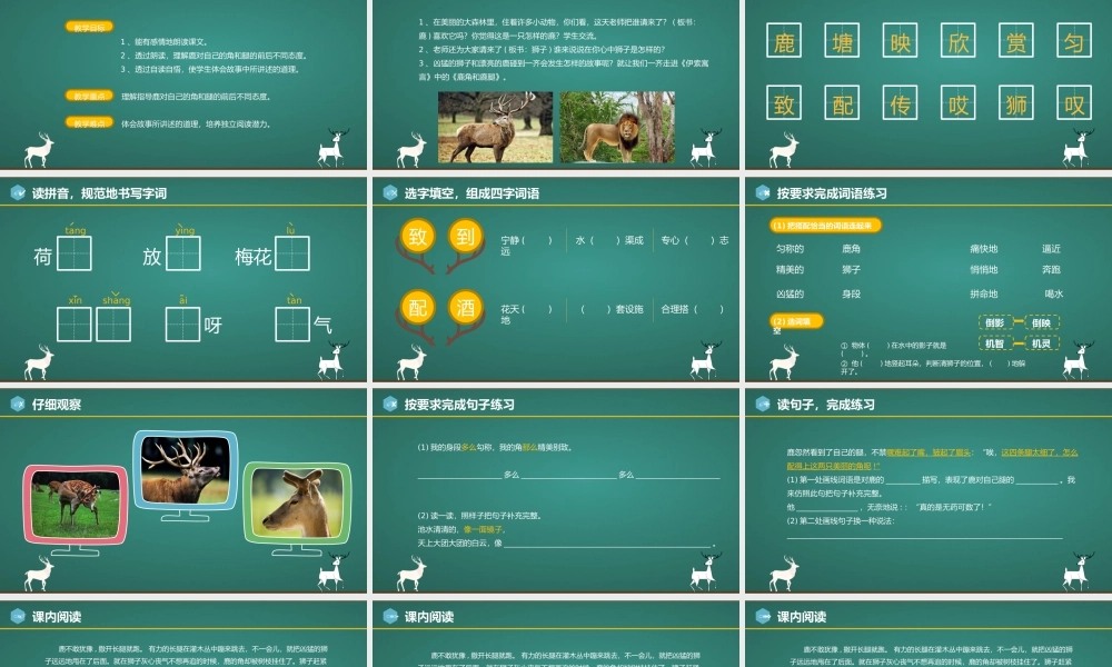人教版三年级下册语文《鹿角和鹿腿》PPT课件（带内容）.pptx