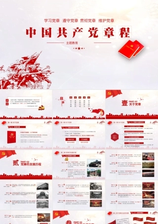 党章学习PPT课件（带内容）.pptx