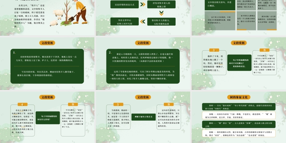 人教版初中语文七年级上册《植树的牧羊人》PPT课件（带内容）节选自《种树的男人》.pptx