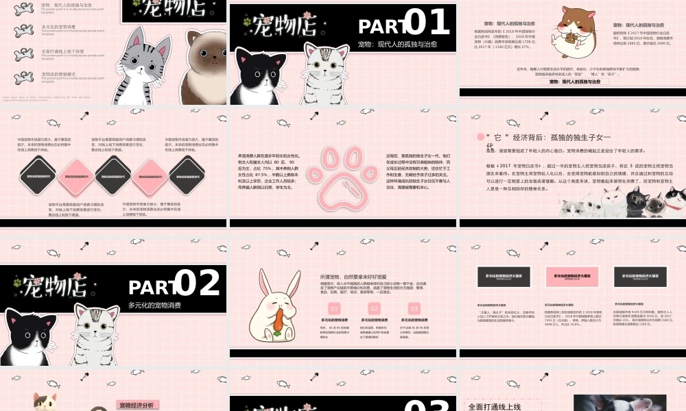 宠物店电商经营分析报告PPT展示（带内容）.pptx