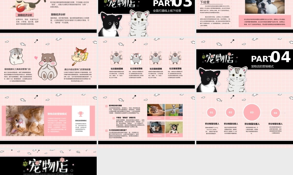 宠物店电商经营分析报告PPT展示（带内容）.pptx