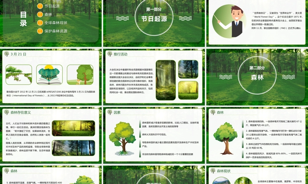 世界森林日宣传教育PPT课件（带内容）.pptx